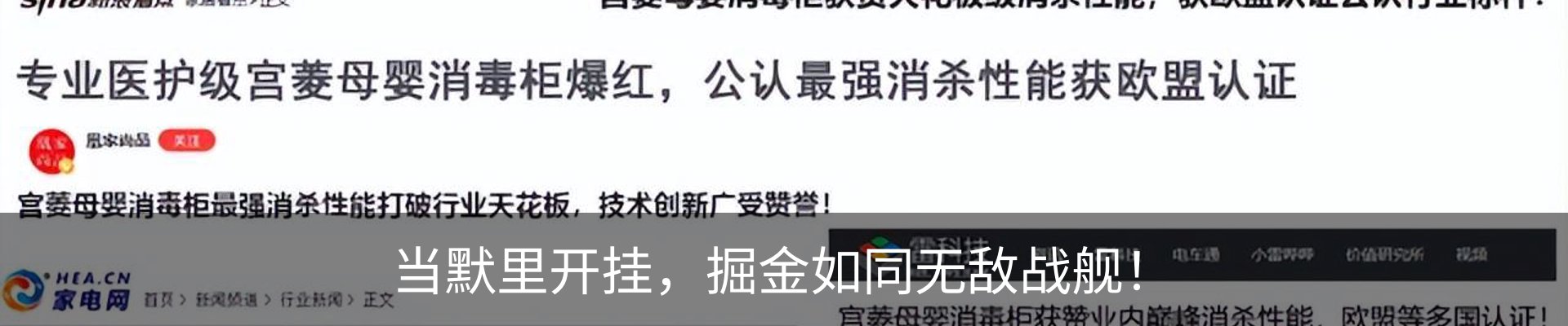 新闻动态